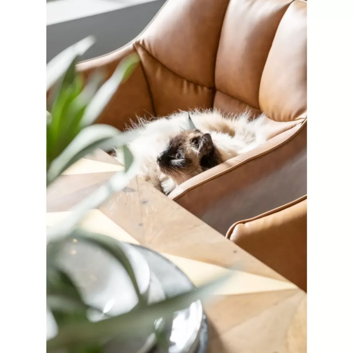 KARE Design Armlehnstuhl Thinktank Braun- Stühle