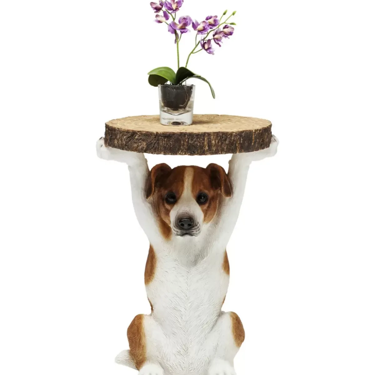 KARE Design Beistelltisch Animal Mr Jack O33Cm- Tische