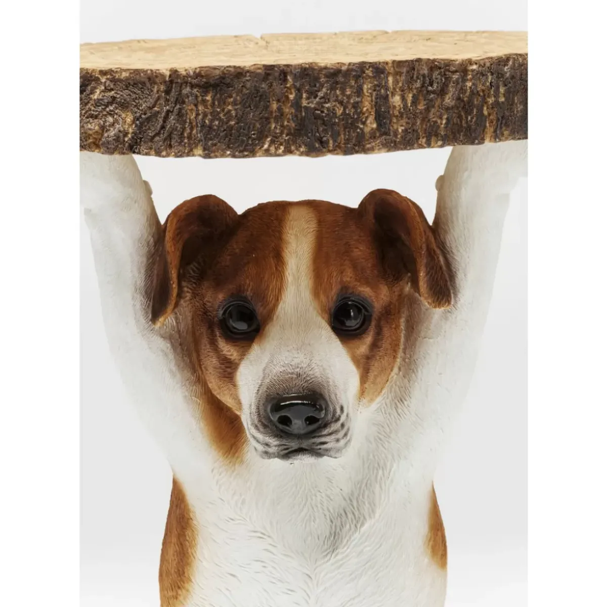 KARE Design Beistelltisch Animal Mr Jack O33Cm- Tische