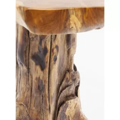 KARE Design Beistelltisch Tree Klein Natur- Tische