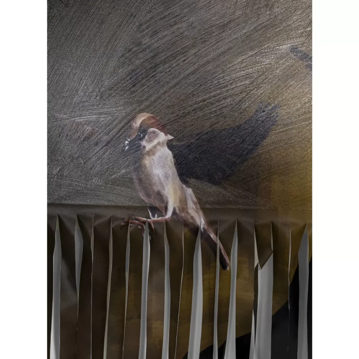 KARE Design Bild Frame Gentleman Cuts 130X163Cm- Bilder