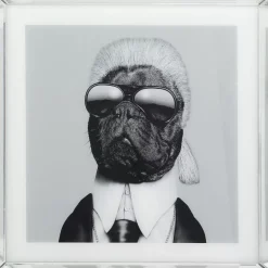 KARE Design Bild Frame Mirror Designer Dog 60X60- Bilder