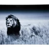 KARE Design Bild Glas Lion King Standing 160X120Cm- Bilder