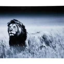 KARE Design Bild Glas Lion King Standing 160X120Cm- Bilder