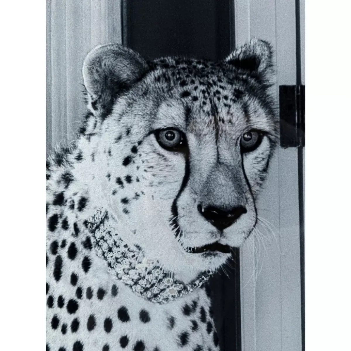 KARE Design Bild Glas Metallic Gepard 100X150- Bilder