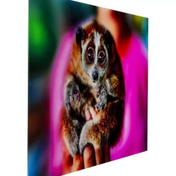 KARE Design Bild Glas Slow Loris 80X120- Bilder