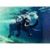 KARE Design Bild Glas Swimming Elephant 180X120Cm- Bilder