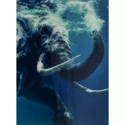 KARE Design Bild Glas Swimming Elephant 180X120Cm- Bilder