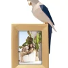 KARE Design Bilderrahmen Origami Parrot 10X15Cm- Deko & Geschenkartikel