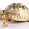 KARE Design Deko Figur Turtle Gold Gros- Deko & Geschenkartikel