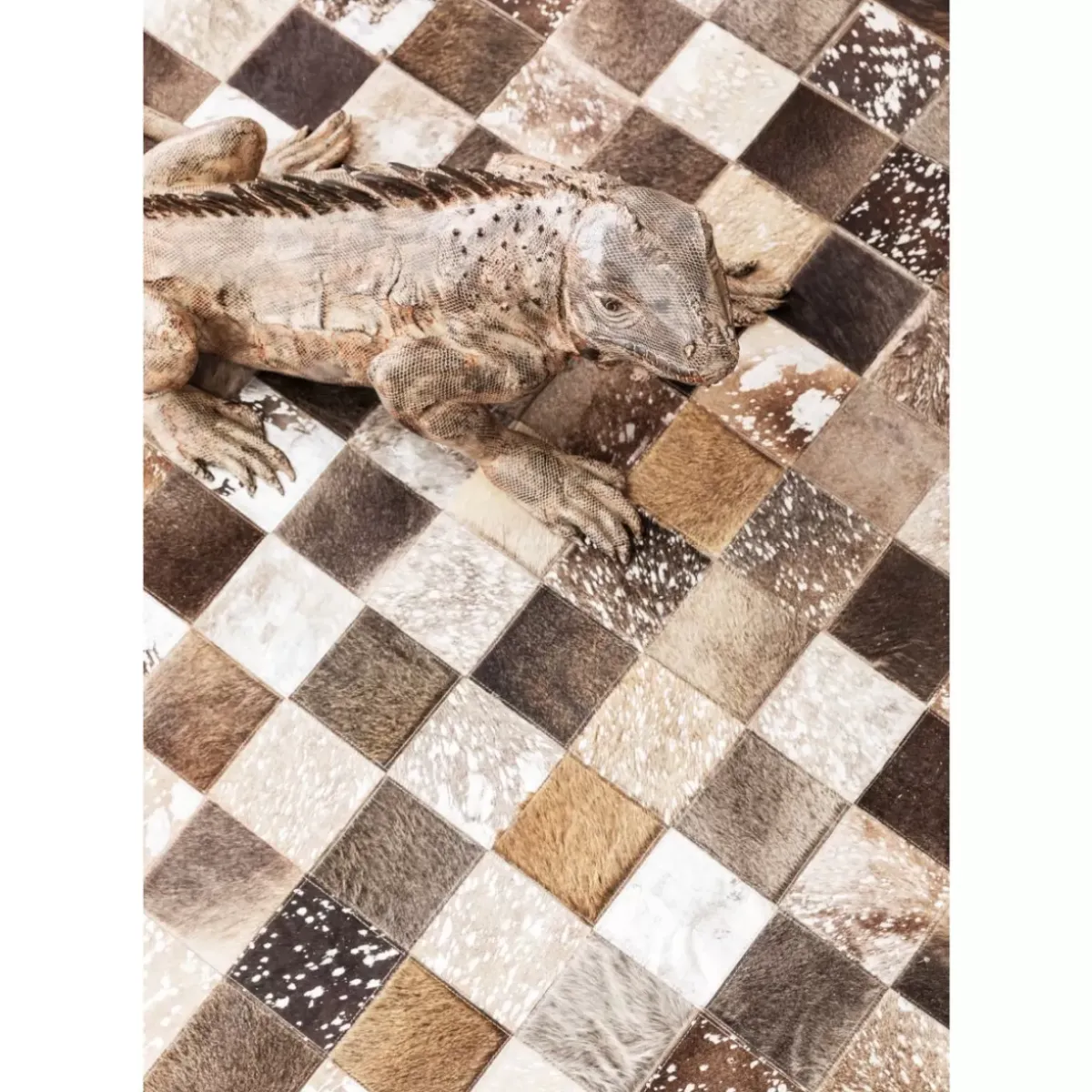 KARE Design Deko Objekt Iguana 135Cm- Deko & Geschenkartikel