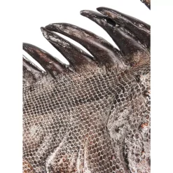 KARE Design Deko Objekt Iguana 135Cm- Deko & Geschenkartikel