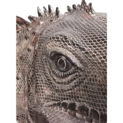 KARE Design Deko Objekt Iguana 135Cm- Deko & Geschenkartikel