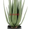 KARE Design Deko Pflanze Aloe 69Cm- Deko & Geschenkartikel