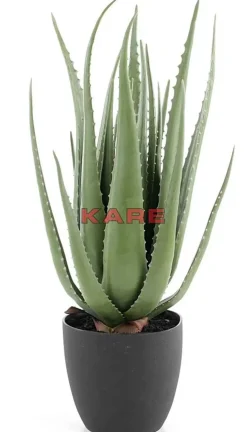 KARE Design Deko Pflanze Aloe 69Cm- Deko & Geschenkartikel
