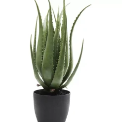 KARE Design Deko Pflanze Aloe 69Cm- Deko & Geschenkartikel