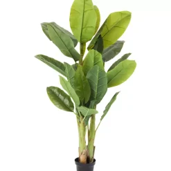 KARE Design Deko Pflanze Banana Tree 180Cm- Deko & Geschenkartikel