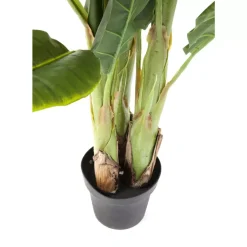 KARE Design Deko Pflanze Banana Tree 180Cm- Deko & Geschenkartikel
