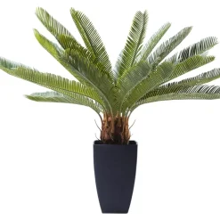 KARE Design Deko Pflanze Cycas Tree 78Cm- Deko & Geschenkartikel