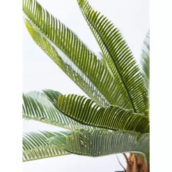 KARE Design Deko Pflanze Cycas Tree 78Cm- Deko & Geschenkartikel