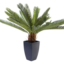 KARE Design Deko Pflanze Cycas Tree 78Cm- Deko & Geschenkartikel