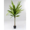 KARE Design Deko Pflanze Dracaena Fragrans 180Cm- Deko & Geschenkartikel