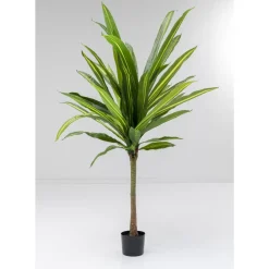 KARE Design Deko Pflanze Dracaena Fragrans 180Cm- Deko & Geschenkartikel