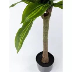 KARE Design Deko Pflanze Dracaena Fragrans 180Cm- Deko & Geschenkartikel
