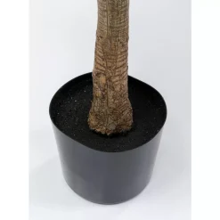 KARE Design Deko Pflanze Dracaena Fragrans 180Cm- Deko & Geschenkartikel