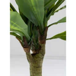 KARE Design Deko Pflanze Dracaena Fragrans 180Cm- Deko & Geschenkartikel