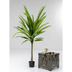 KARE Design Deko Pflanze Dracaena Fragrans 180Cm- Deko & Geschenkartikel