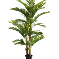KARE Design Deko Pflanze Palm Tree 190- Deko & Geschenkartikel