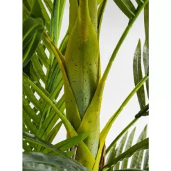 KARE Design Deko Pflanze Palm Tree 190- Deko & Geschenkartikel