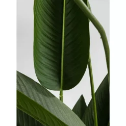 KARE Design Deko Pflanze Paradise Flowers 190- Deko & Geschenkartikel