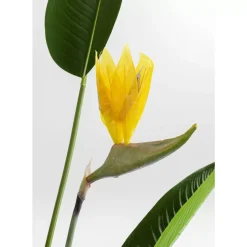 KARE Design Deko Pflanze Paradise Flowers 190- Deko & Geschenkartikel
