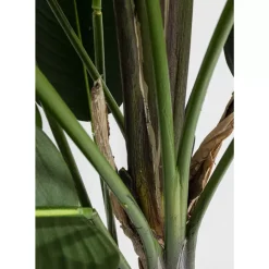 KARE Design Deko Pflanze Paradise Flowers 190- Deko & Geschenkartikel