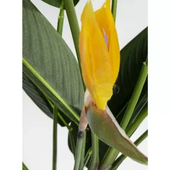 KARE Design Deko Pflanze Paradise Flowers 190- Deko & Geschenkartikel