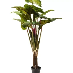 KARE Design Deko Pflanze Rainforest Green 160Cm- Deko & Geschenkartikel