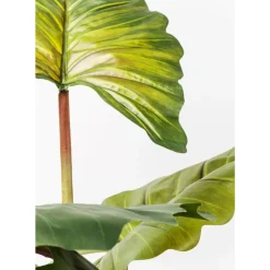 KARE Design Deko Pflanze Rainforest Green 160Cm- Deko & Geschenkartikel