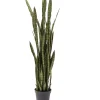 KARE Design Deko Pflanze Sansewieria 155Cm- Deko & Geschenkartikel