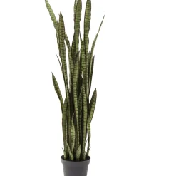 KARE Design Deko Pflanze Sansewieria 155Cm- Deko & Geschenkartikel