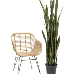 KARE Design Deko Pflanze Sansewieria 155Cm- Deko & Geschenkartikel