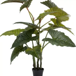 KARE Design Deko Pflanze Taro 180- Deko & Geschenkartikel