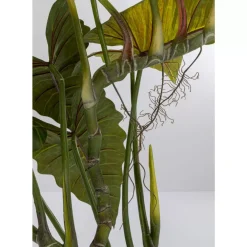 KARE Design Deko Pflanze Taro 180- Deko & Geschenkartikel