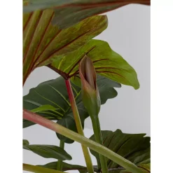 KARE Design Deko Pflanze Taro 180- Deko & Geschenkartikel