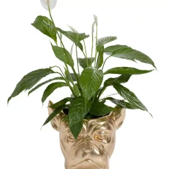 KARE Design Deko Ubertopf Bulldog Gold- Aufbewahrung & Ordnung