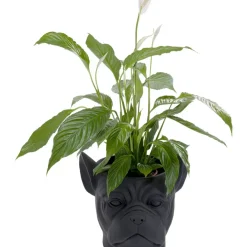 KARE Design Deko Ubertopf Bulldog Schwarz- Aufbewahrung & Ordnung