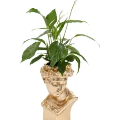 KARE Design Deko Ubertopf David Gold- Aufbewahrung & Ordnung