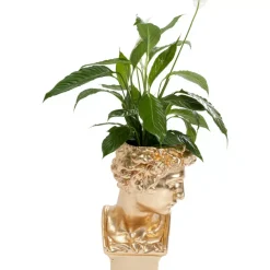 KARE Design Deko Ubertopf David Gold- Aufbewahrung & Ordnung