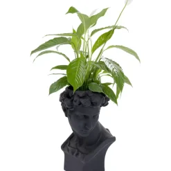 KARE Design Deko Ubertopf David Schwarz- Aufbewahrung & Ordnung